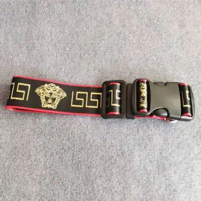 versace dog|versace dog collar and leash.